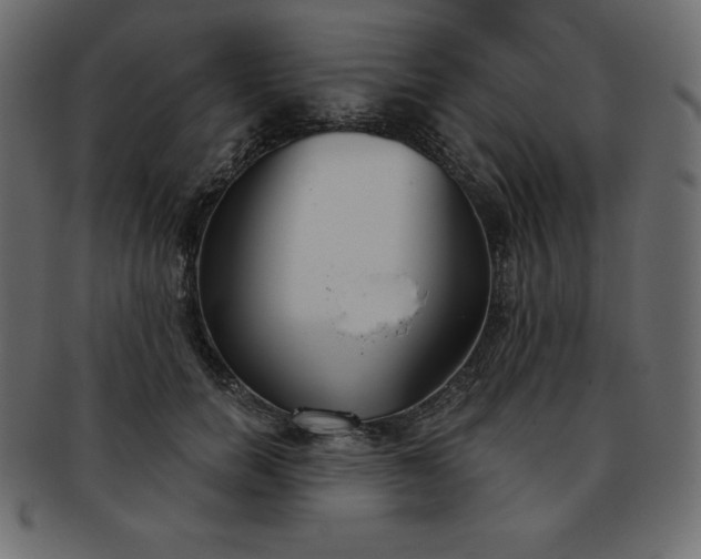 X0000093360750200710191057