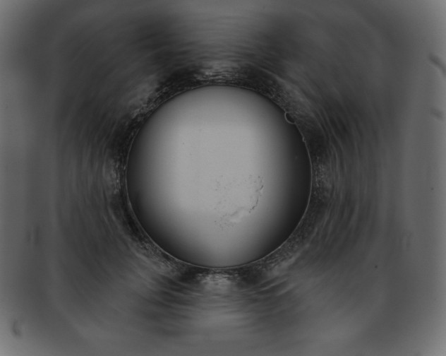 X0000093360751200710191057