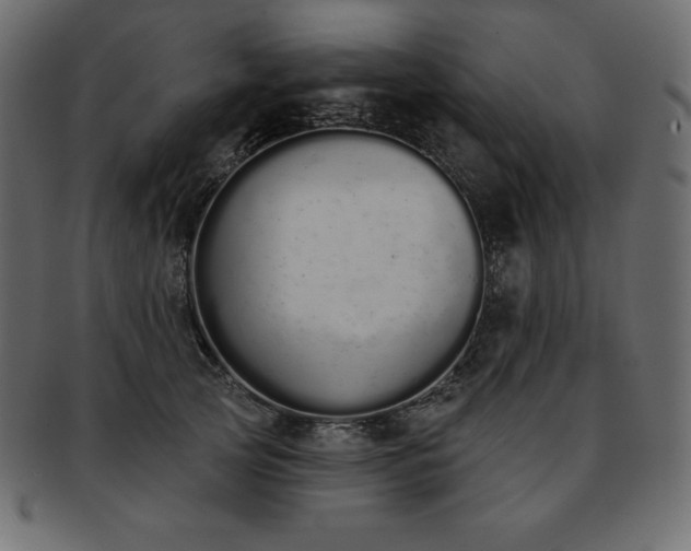 X0000093360753200710191057