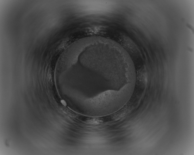 X0000093360754200710191057