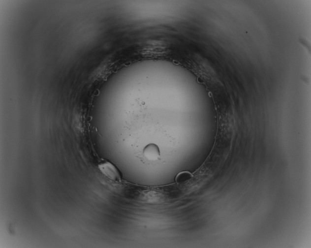 X0000093360755200710191057