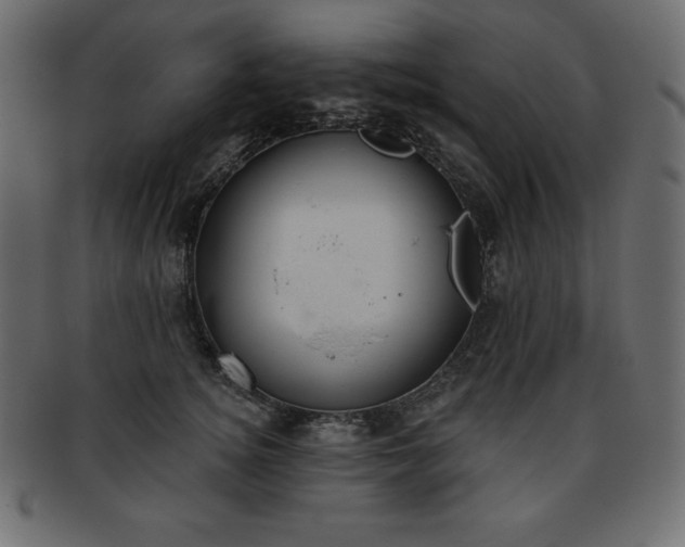 X0000093360756200710191057