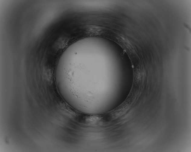 X0000093360759200710191057