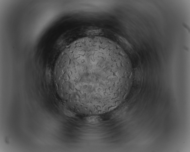 X0000093360761200710191057