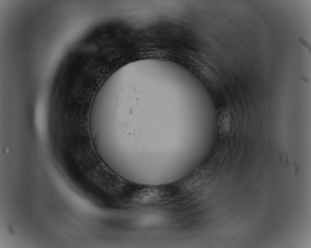 X0000093360764200710191057