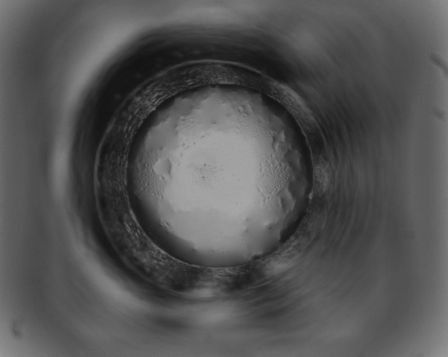 X0000093360765200710191057