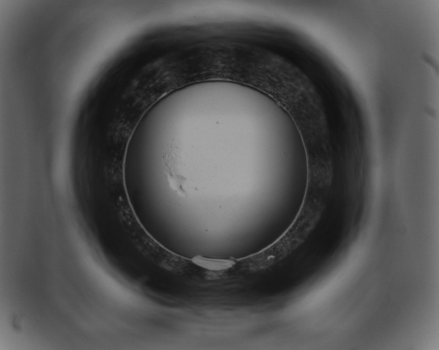 X0000093360766200710191057