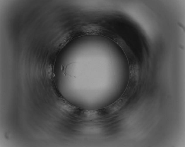 X0000093360767200710191057