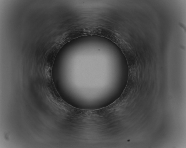 X0000093360770200710191056