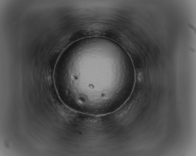 X0000093360771200710191056