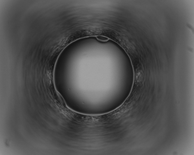 X0000093360772200710191056