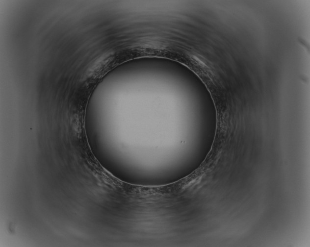 X0000093360774200710191056