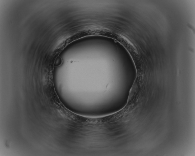 X0000093360775200710191056