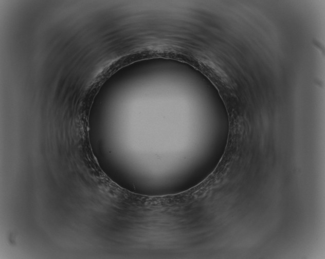 X0000093360776200710191056
