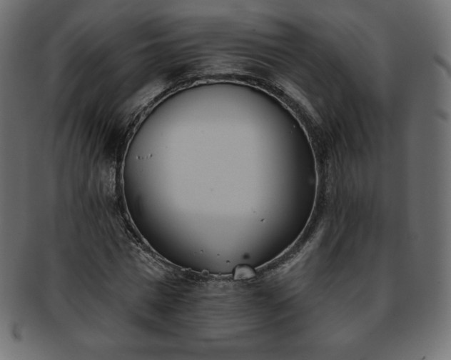 X0000093360777200710191056