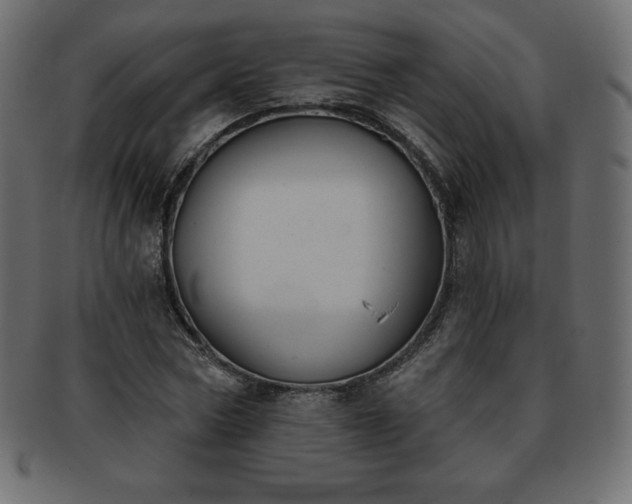 X0000093360778200710191056