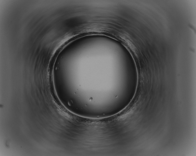 X0000093360779200710191056