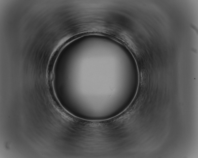 X0000093360780200710191056