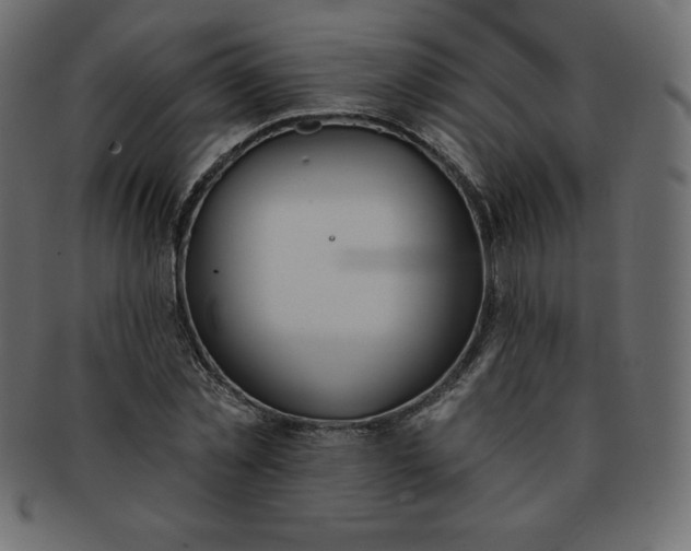 X0000093360781200710191056
