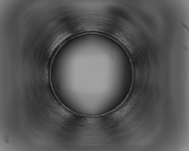 X0000093360782200710191056
