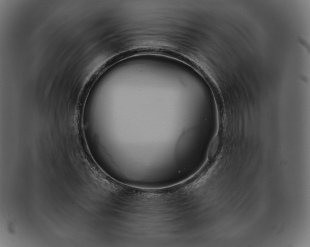 X0000093360783200710191056