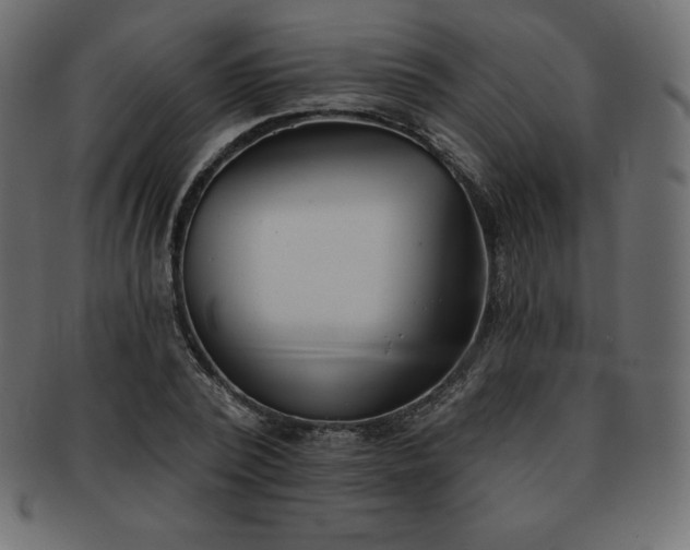 X0000093360784200710191056