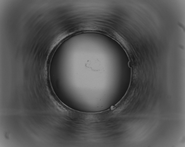 X0000093360787200710191056