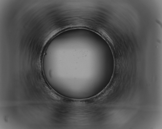 X0000093360789200710191056