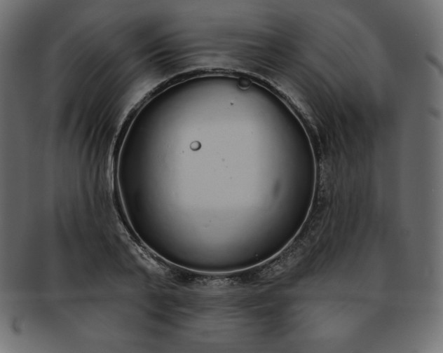 X0000093360791200710191056