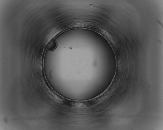 X0000093360794200710191056