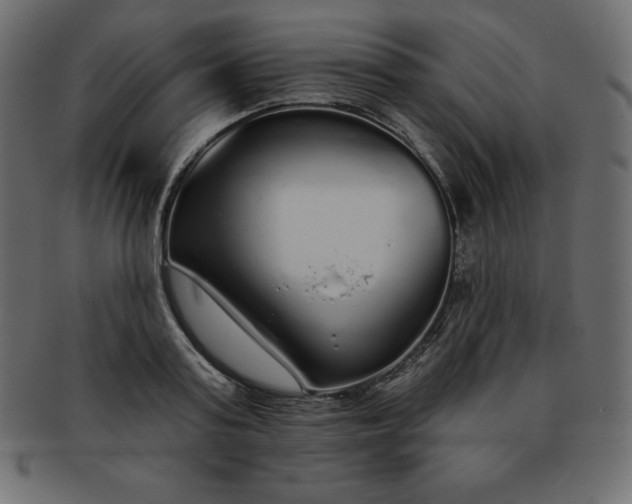 X0000093360795200710191056