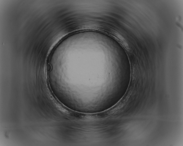 X0000093360796200710191056