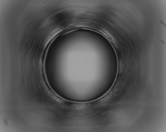 X0000093360798200710191056