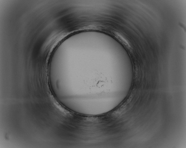 X0000093360800200710191056