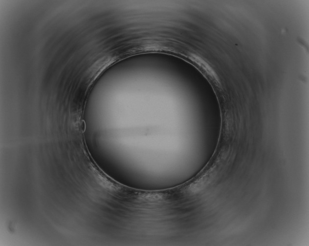 X0000093360801200710191056