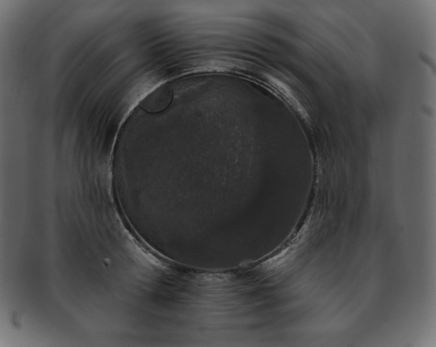 X0000093360802200710191056