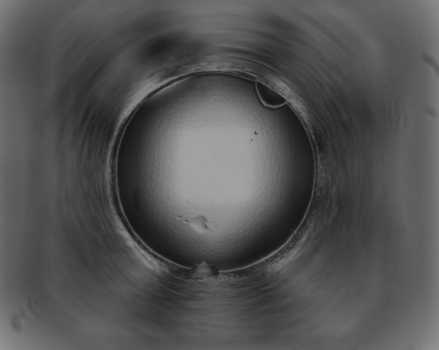 X0000093360803200710191056