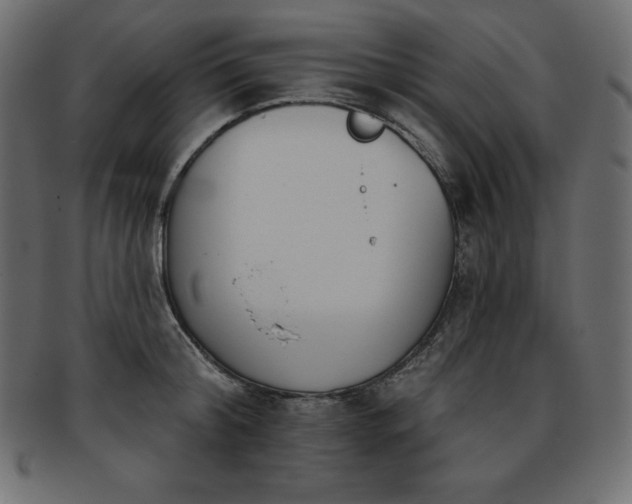 X0000093360804200710191056