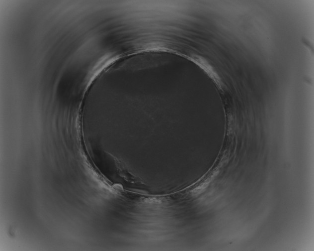 X0000093360806200710191056