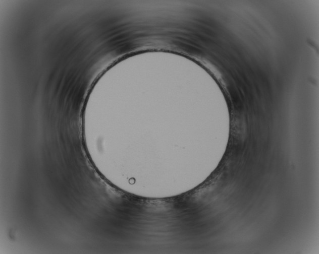 X0000093360807200710191056