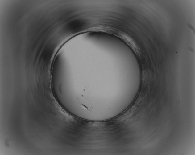 X0000093360808200710191056