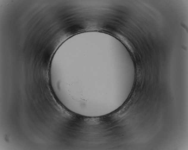 X0000093360810200710191056