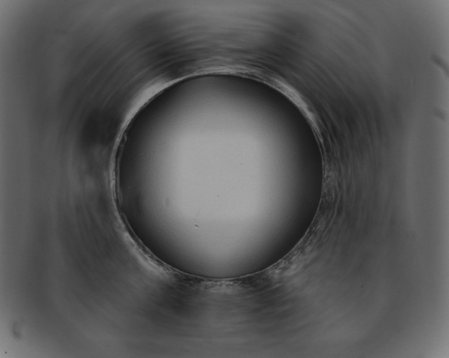 X0000093360811200710191056