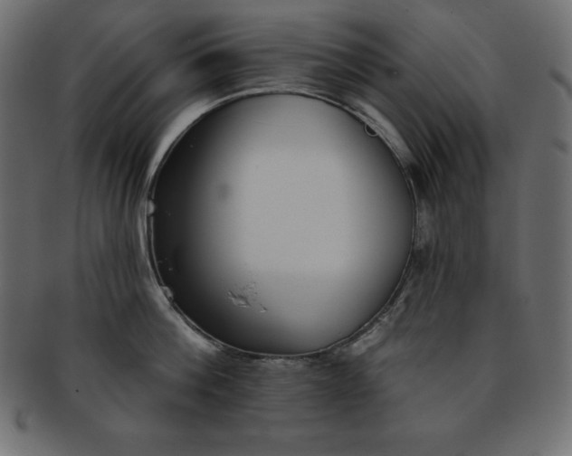 X0000093360812200710191056