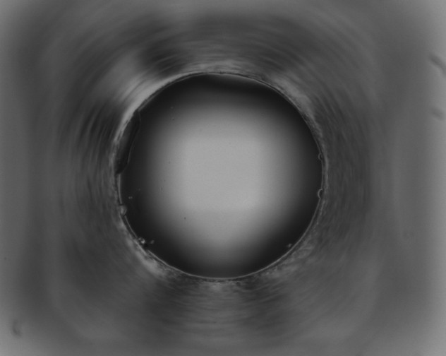 X0000093360816200710191056