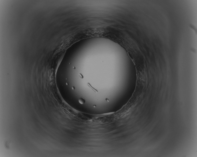 X0000093360818200710191055