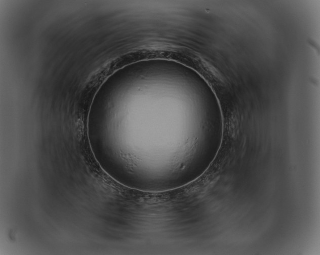 X0000093360821200710191055