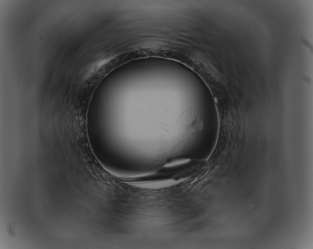 X0000093360822200710191055