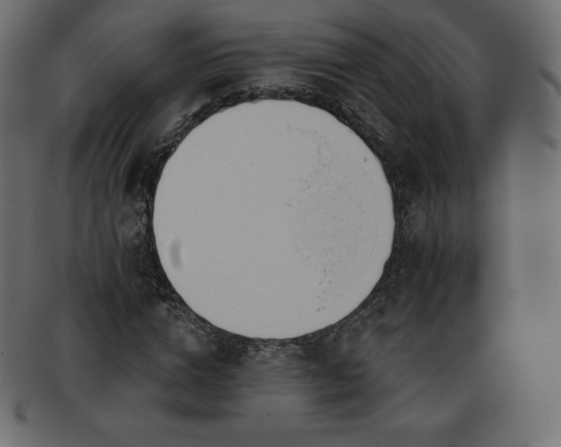 X0000093360824200710191055