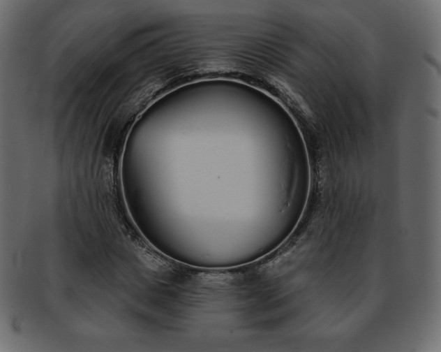 X0000093360825200710191055